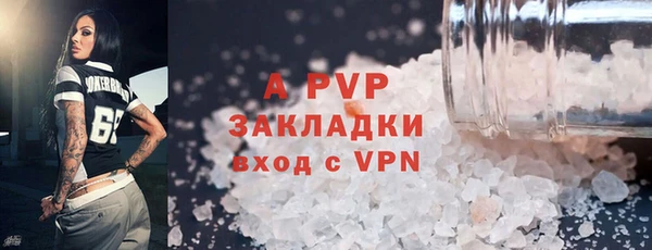 индика Нефтекумск