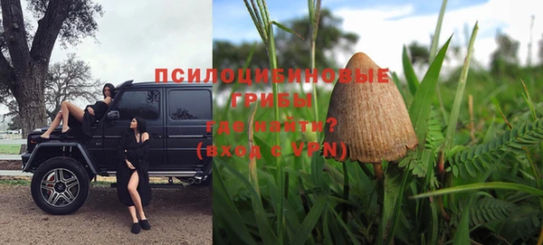 твердый Алагир