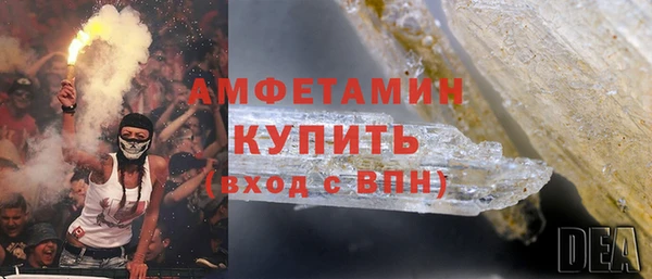 ПСИЛОЦИБИНОВЫЕ ГРИБЫ Новозыбков